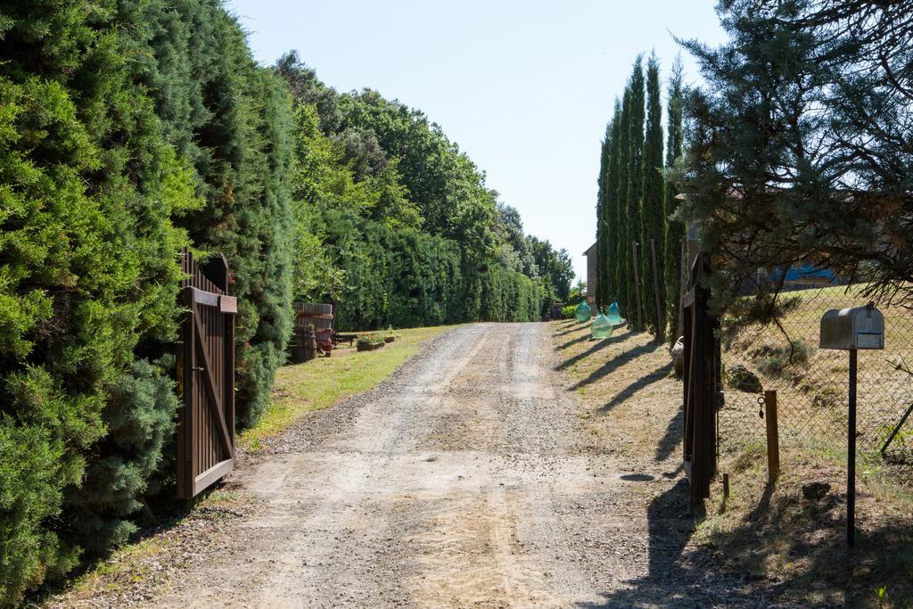 Agriturismo La Vigna San Gimignano Exterior photo
